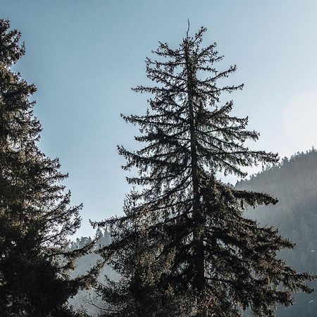 Roombox Likani Borjomi Bagian luar foto