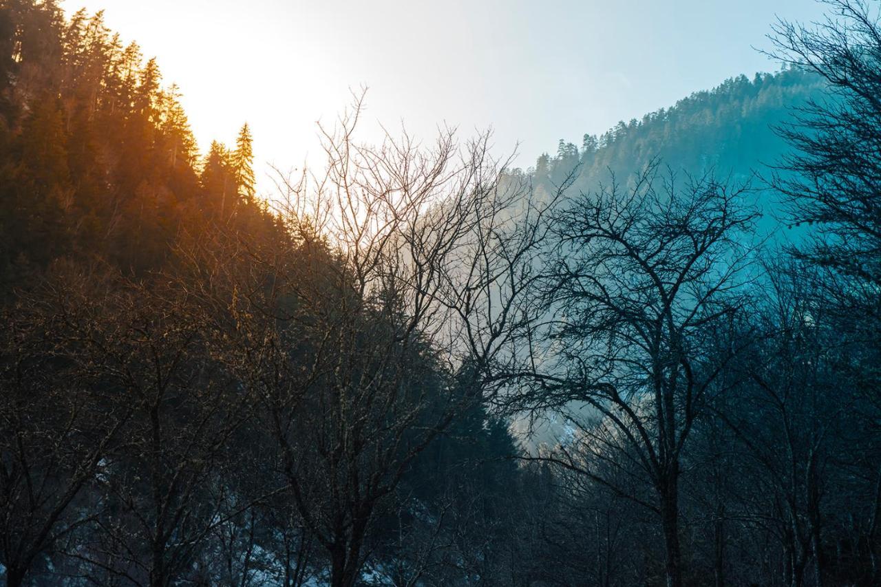 Roombox Likani Borjomi Bagian luar foto