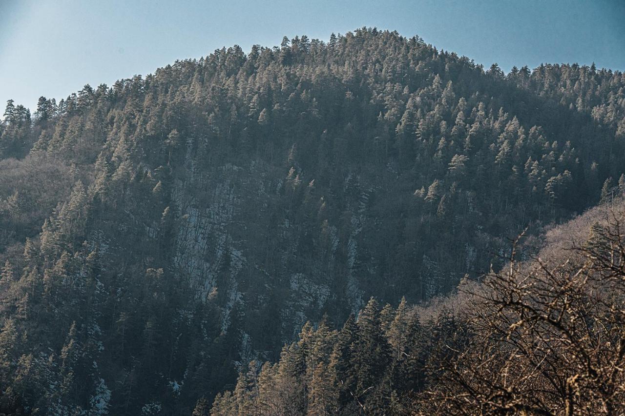 Roombox Likani Borjomi Bagian luar foto